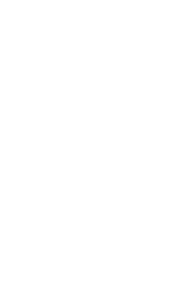 Ulmer Schnitzel Flitzer - Schnitzel online liefern lassen